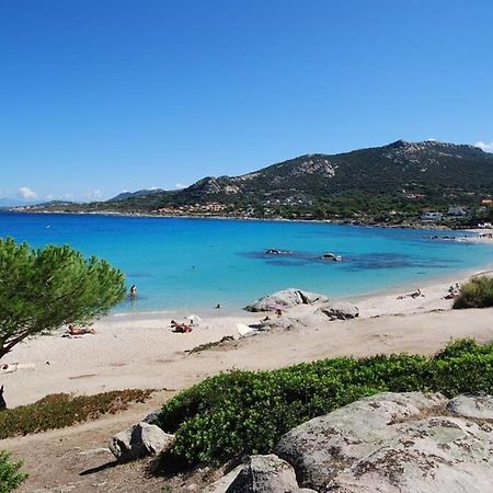 L'Orangeraie Calvi Centre A 300M De La Plage Et Du Port Parking Prive Dış mekan fotoğraf