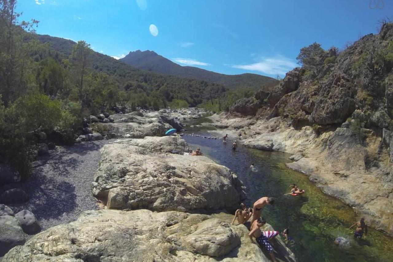 L'Orangeraie Calvi Centre A 300M De La Plage Et Du Port Parking Prive Dış mekan fotoğraf