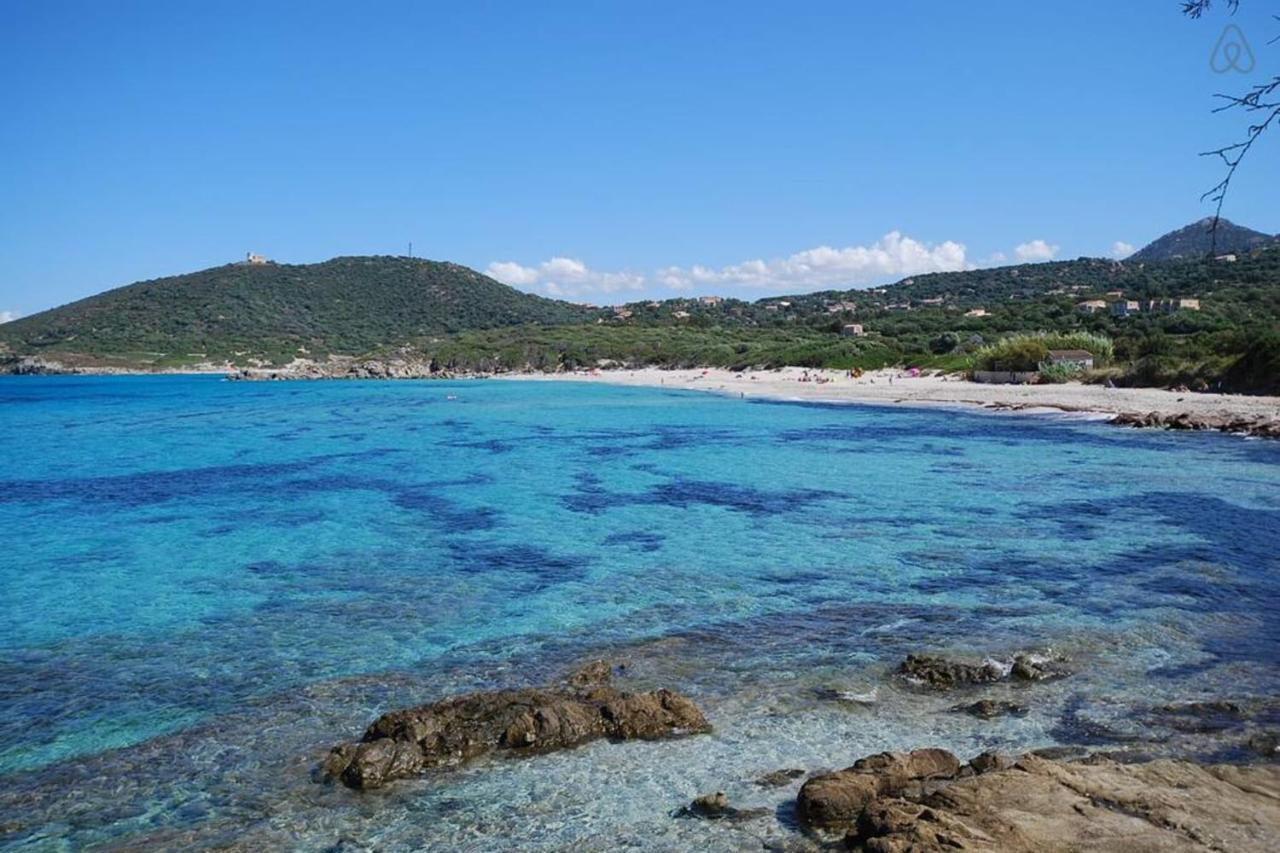 L'Orangeraie Calvi Centre A 300M De La Plage Et Du Port Parking Prive Dış mekan fotoğraf