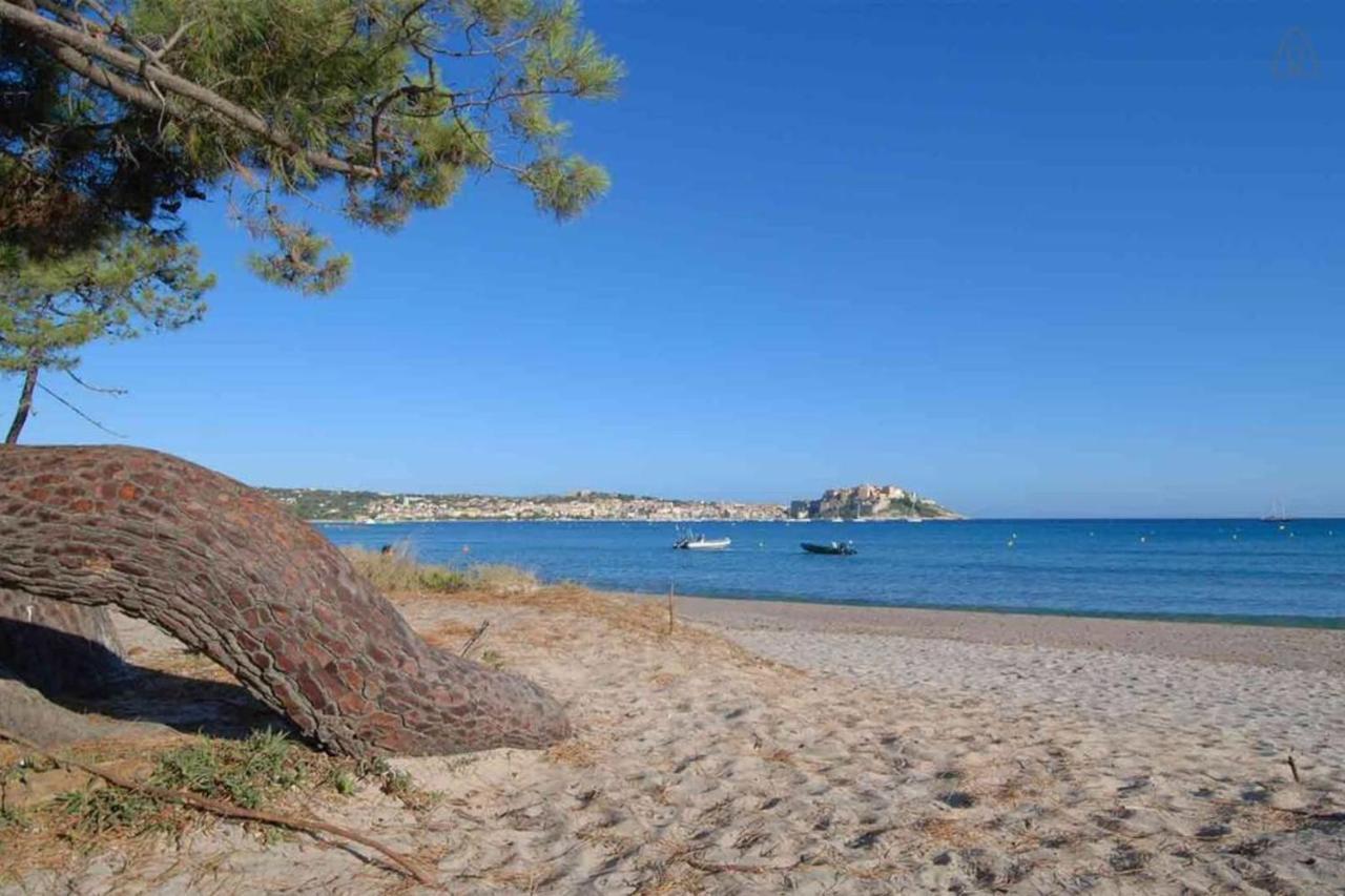 L'Orangeraie Calvi Centre A 300M De La Plage Et Du Port Parking Prive Dış mekan fotoğraf