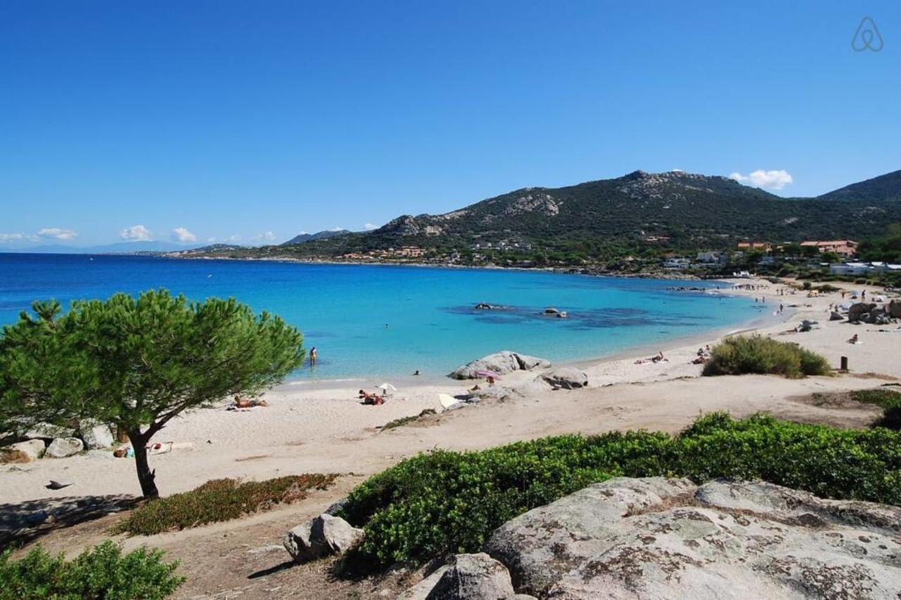 L'Orangeraie Calvi Centre A 300M De La Plage Et Du Port Parking Prive Dış mekan fotoğraf